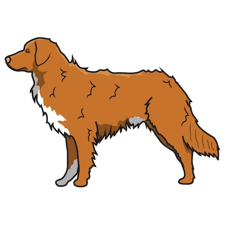 Nova Scotia Duck Tolling Retriever Dog Decal, Dog Lover Decor Vinyl Sticker